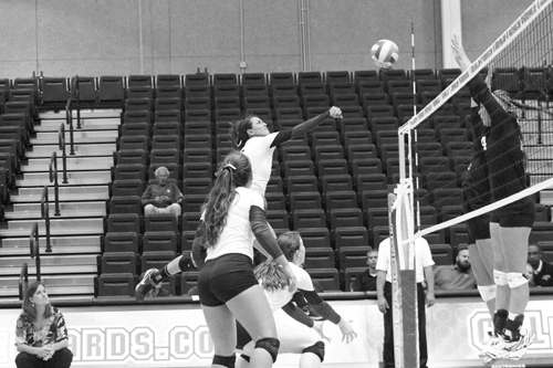 Senior Karissa Ciliento sends the ball over against Lehigh on Oct.18. Despite being 3rd in the Patriot League in digs for the season, the team has dropped to almost dead last in kills and blocks with 735 and 26 respectively. 