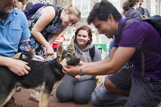Olaf, a German Shepherd puppy, playing with students on the
[Photo by Hana Isihara ‘17]
￼