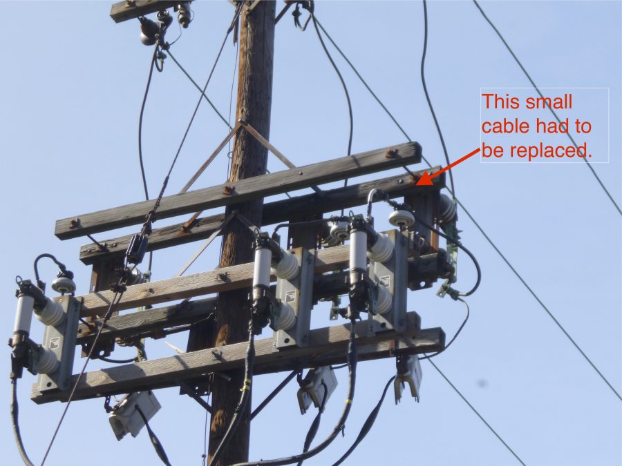 The power outage was caused by this small wire melting. 
Photo courtesy of Bruce Ferretti.