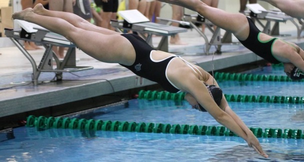 A member of the womens swim team dives into the pool (Courtesy of Athletic Communications).