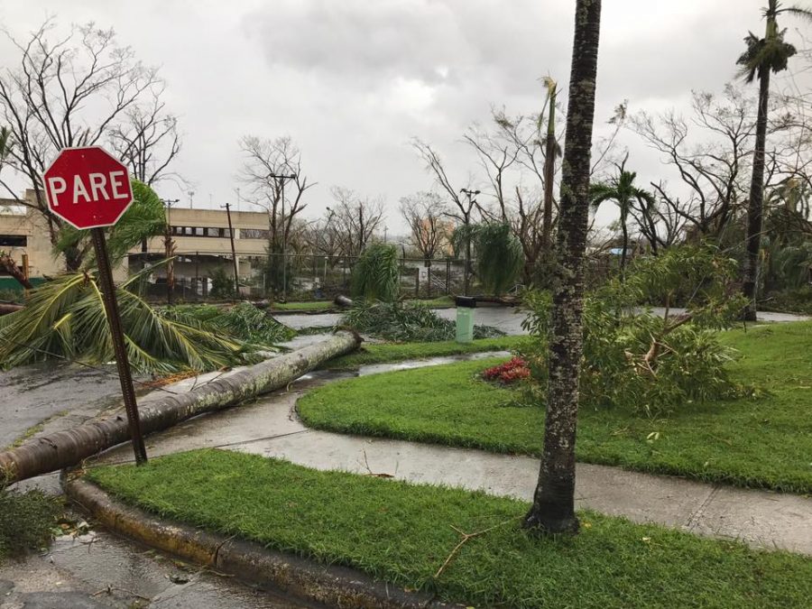 Destruction from Hurricane Maria in Puerto Rico. (Photo Courtesy of Emily Ramírez 18)