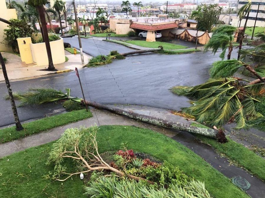Puerto Rico is still recovering from destruction caused by Hurricane Maria (Photo Courtesy of Emily Ramírez 18).