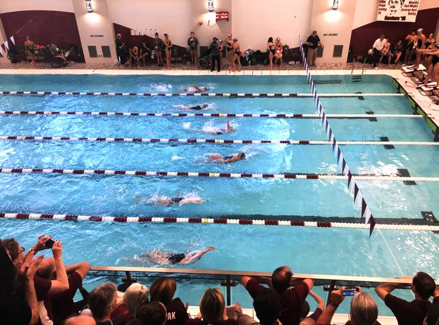 Allie McBrearty (Lane 2),
Faye Melekos (Lane 4), and Sydney Wight (Lane 6) competing in the womens 4x50 yard medley against Loyola (Photo by AJ Traub 20)