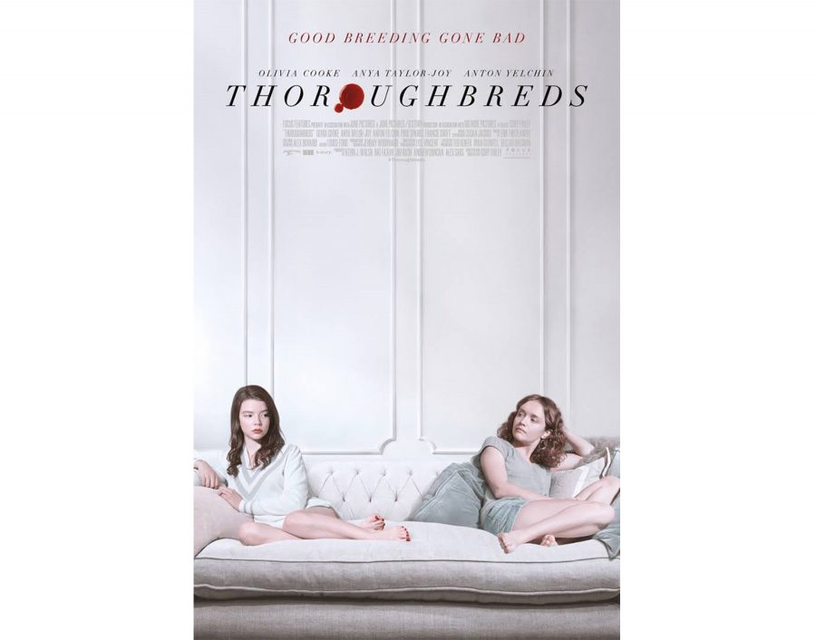 Photo courtesy of t3.gstatic.com
Thoroughbreds missed its mark at trying to be a dark comedy 
