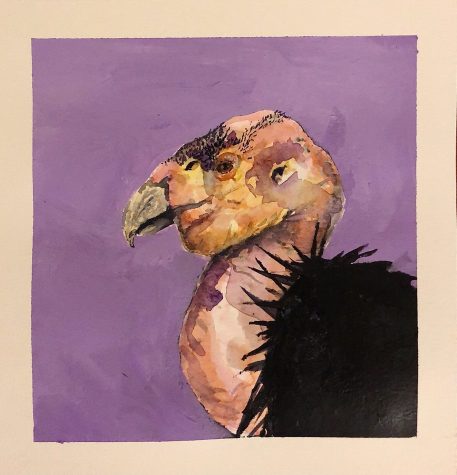 A painting of a California condor against a purple background.