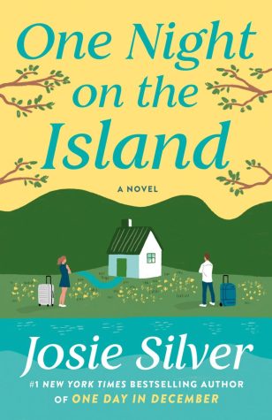Cleo and Macs story spans two continents in One Night on the Island. (Photo courtesy of Goodreads)