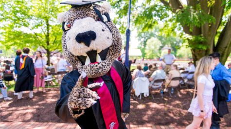 Eighteen of 19 teams achieved a perfect mark in the NCAAs latest national ranking of graduation success rate. (Photo courtesy of GoLeopards)