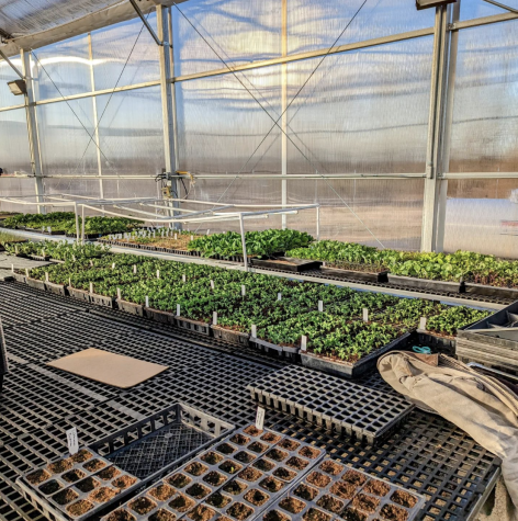 LaFarms greenhouse officially opened in January and has enabled cooperation with researchers. (Photo courtesy of @lafayettecollegefarm on Instagram)