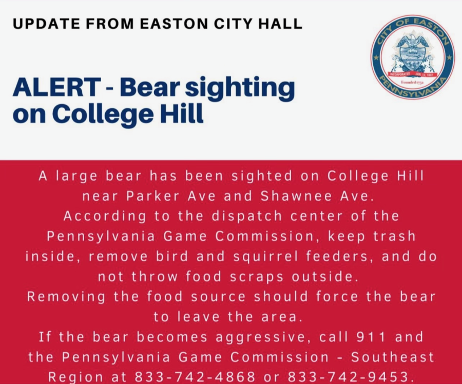 The bear sighting was reported directly to Easton City Hall. (Photo courtesy of @cityofeastonpa on Twitter)