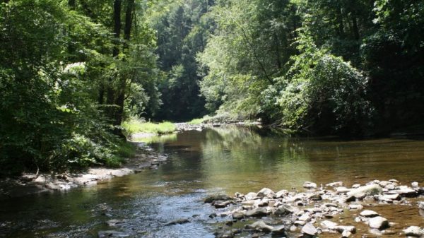 The group of students was working in the section of the Bushkill Creek in Jacobsburg. (Photo courtesy of Scenic Wild Delaware River)