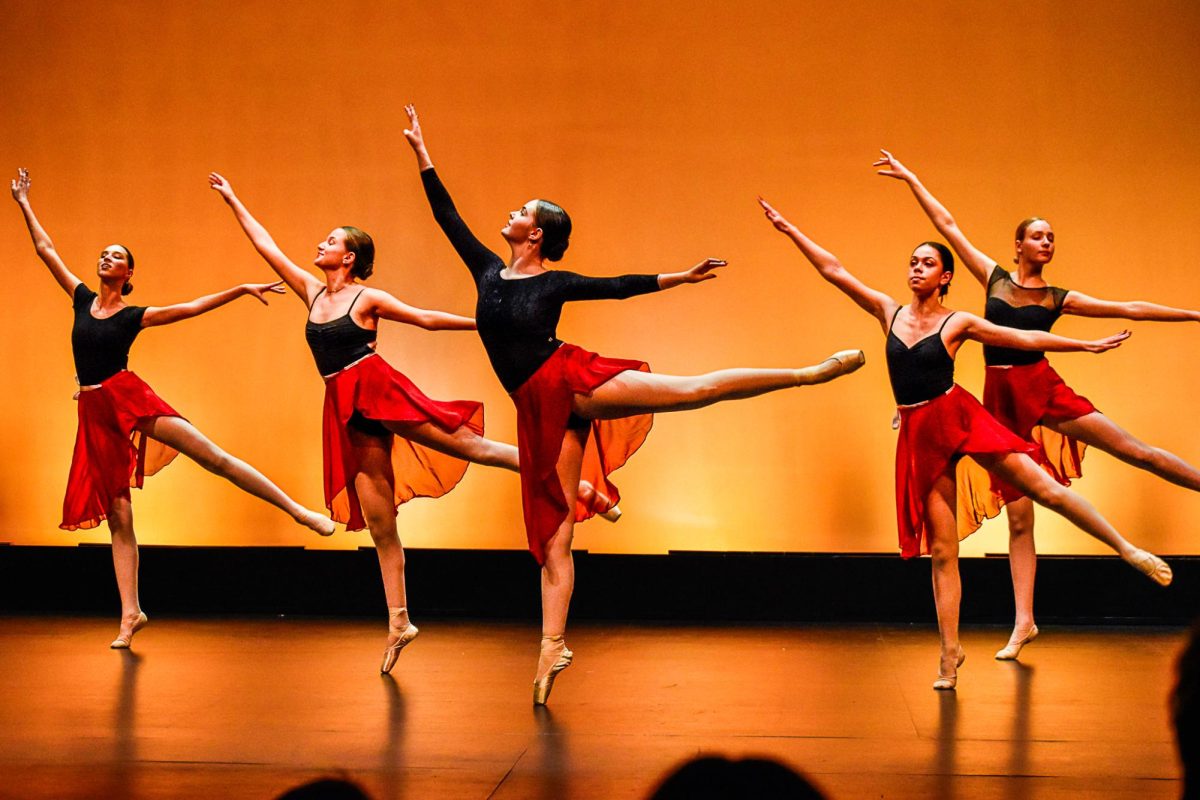 The ballet club is composed of dancers with varying levels of experience.