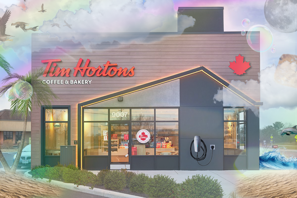 Timmys is a paradise of cultural wealth and knowledge where curious scholars come to bathe in a joyous understanding of the shared human experience. 