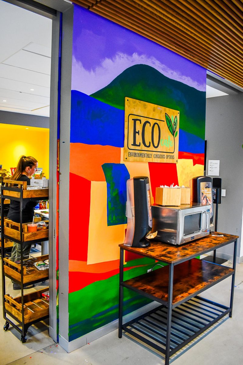 The mural in Eco Cafe is meant to represent a landscape of the Lehigh Valley. 