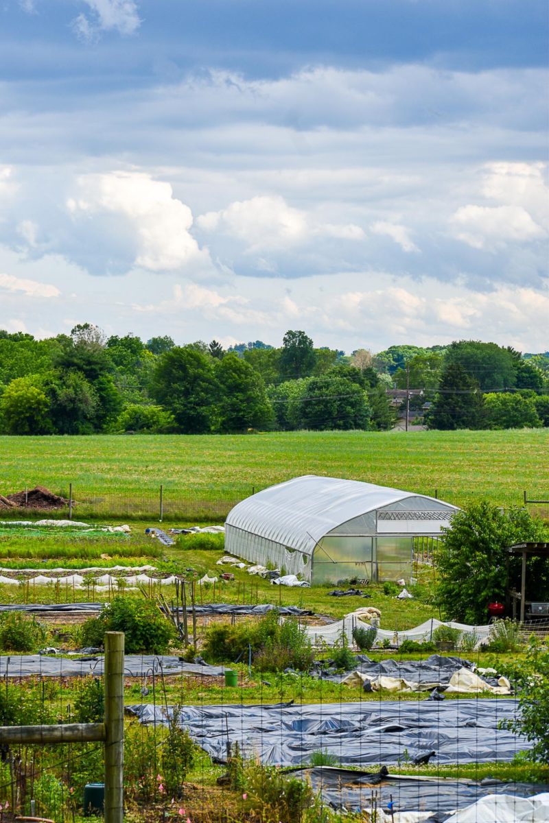 LaFarm hopes to make use of campus compost soon.