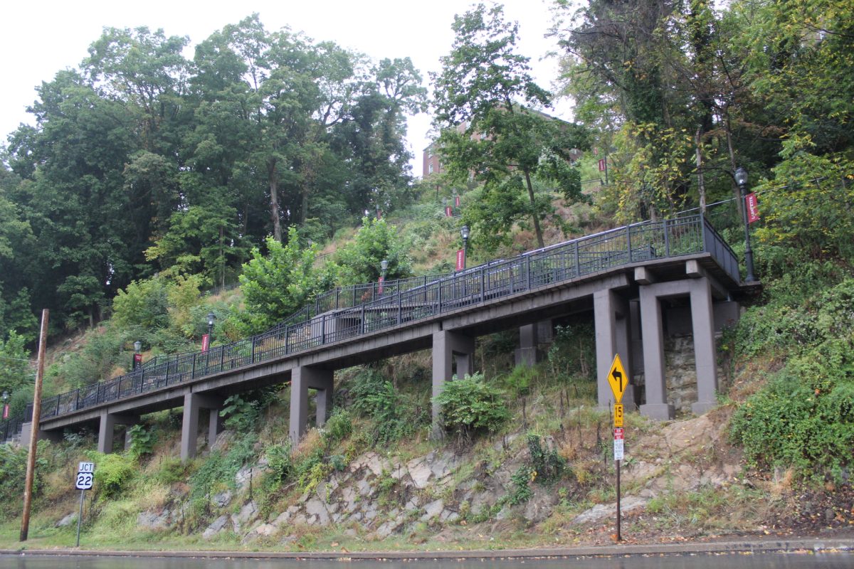 The renovation of the hillside stairs and escarpment trail were completed in 2023.