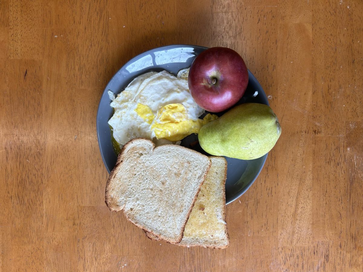 An attempted depiction of an average athlete dining hall breakfast, featuring protein, fresh fruit and carbohydrates.