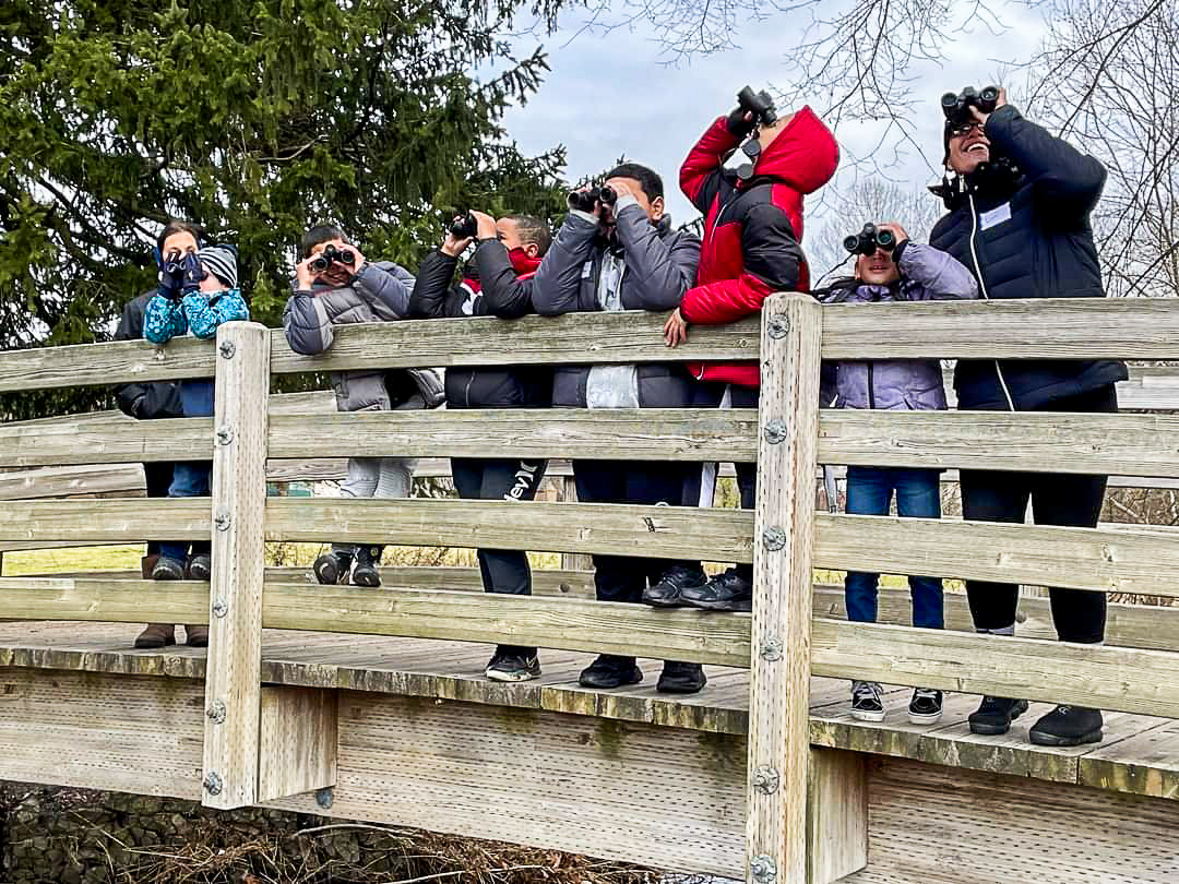 The Lehigh Valley Audubon Society fosters appreciation of and education on birds in the Lehigh Valley. (Photo courtesy of lvaudubon.com)