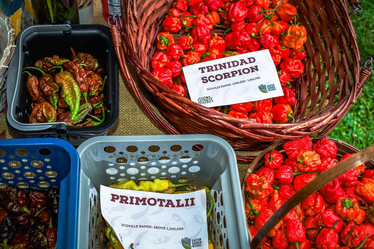 Easton's 15th Annual Hot Pepper Eating Competition hosted a dozen contestants, with one coming out on top. 