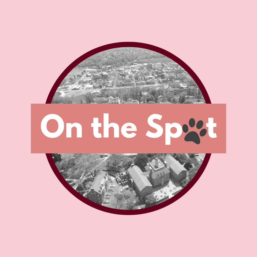 On the Spot: What would you get Roary for his 100th birthday?