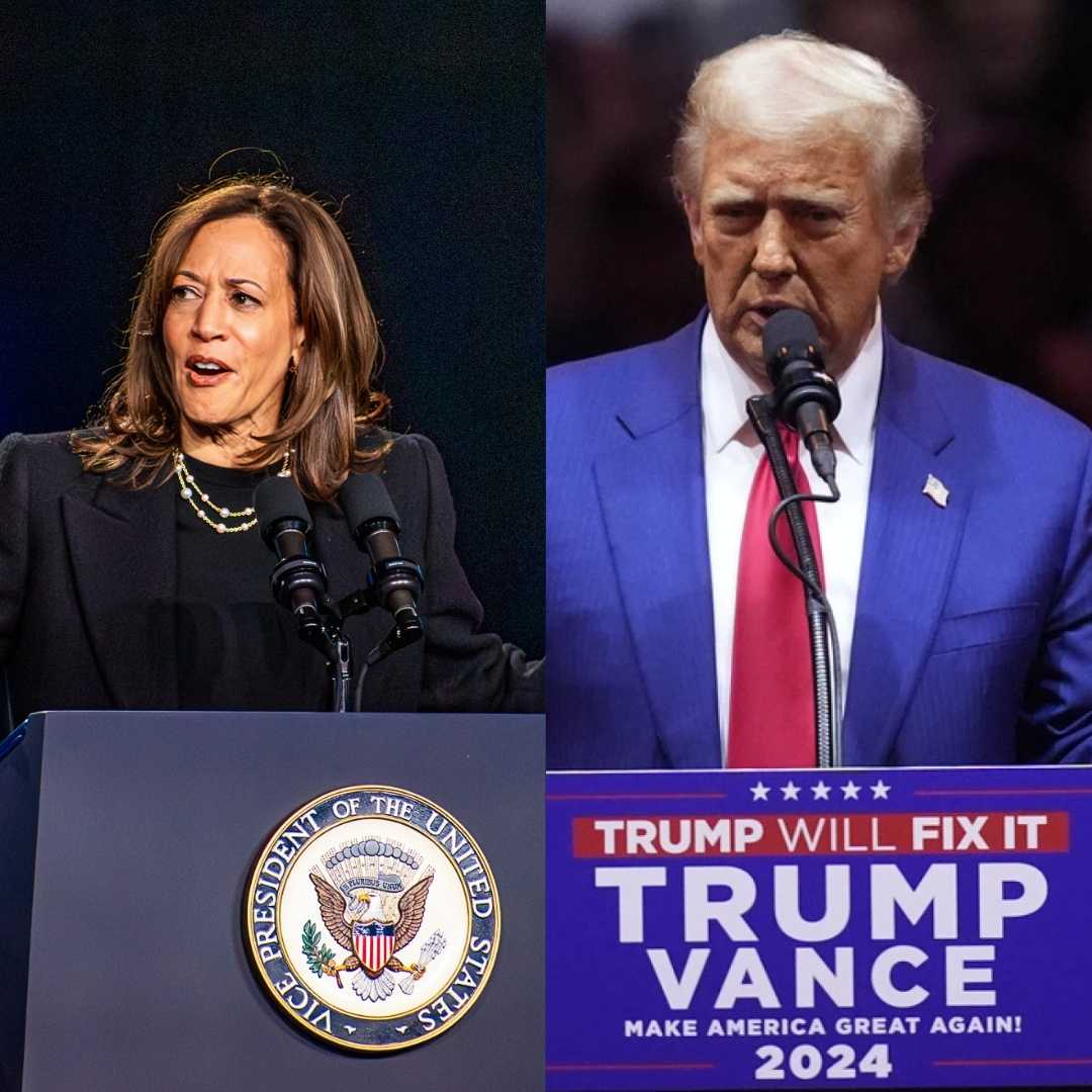 Pennsylvania remains one of the major swing states in the 2024 presidential election. (Photos by Emma Sylvester '25 for The Lafayette and The Associated Press)