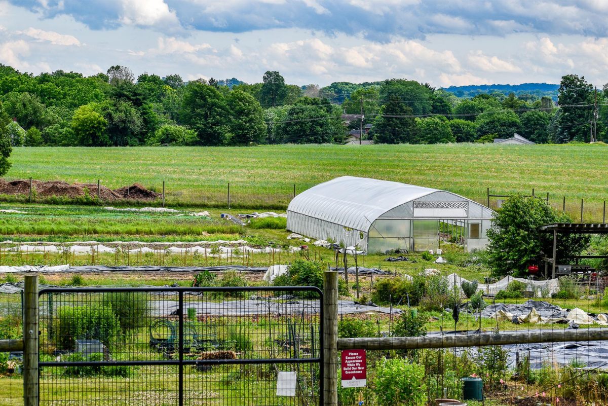 Lafayette College was the first college in the Lehigh Valley to set a carbon neutrality goal. 