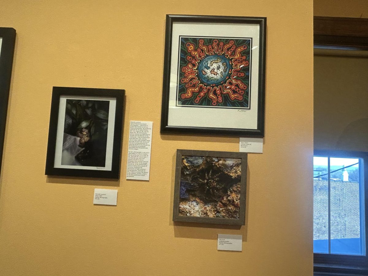 The "Small Worlds" exhibit at the Nurture Nature Center features a wide variety of art styles.