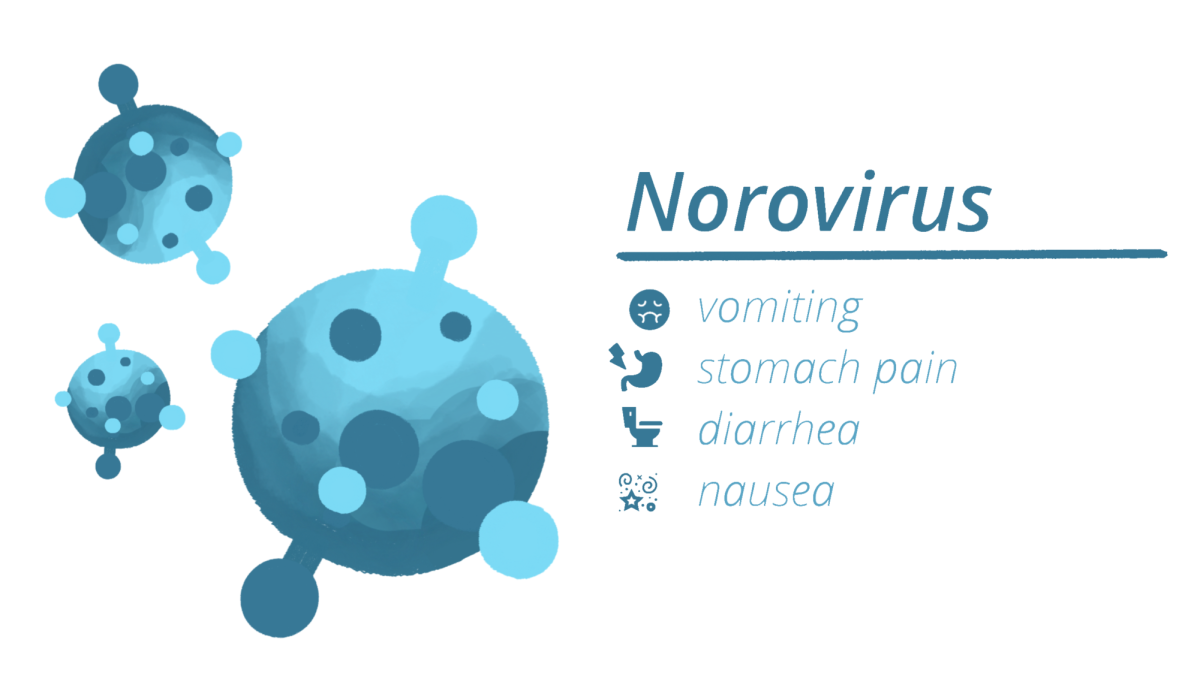 Norovirus is common nationally during the winter months. (Graphic by Hiya Khan '28 for The Lafayette)