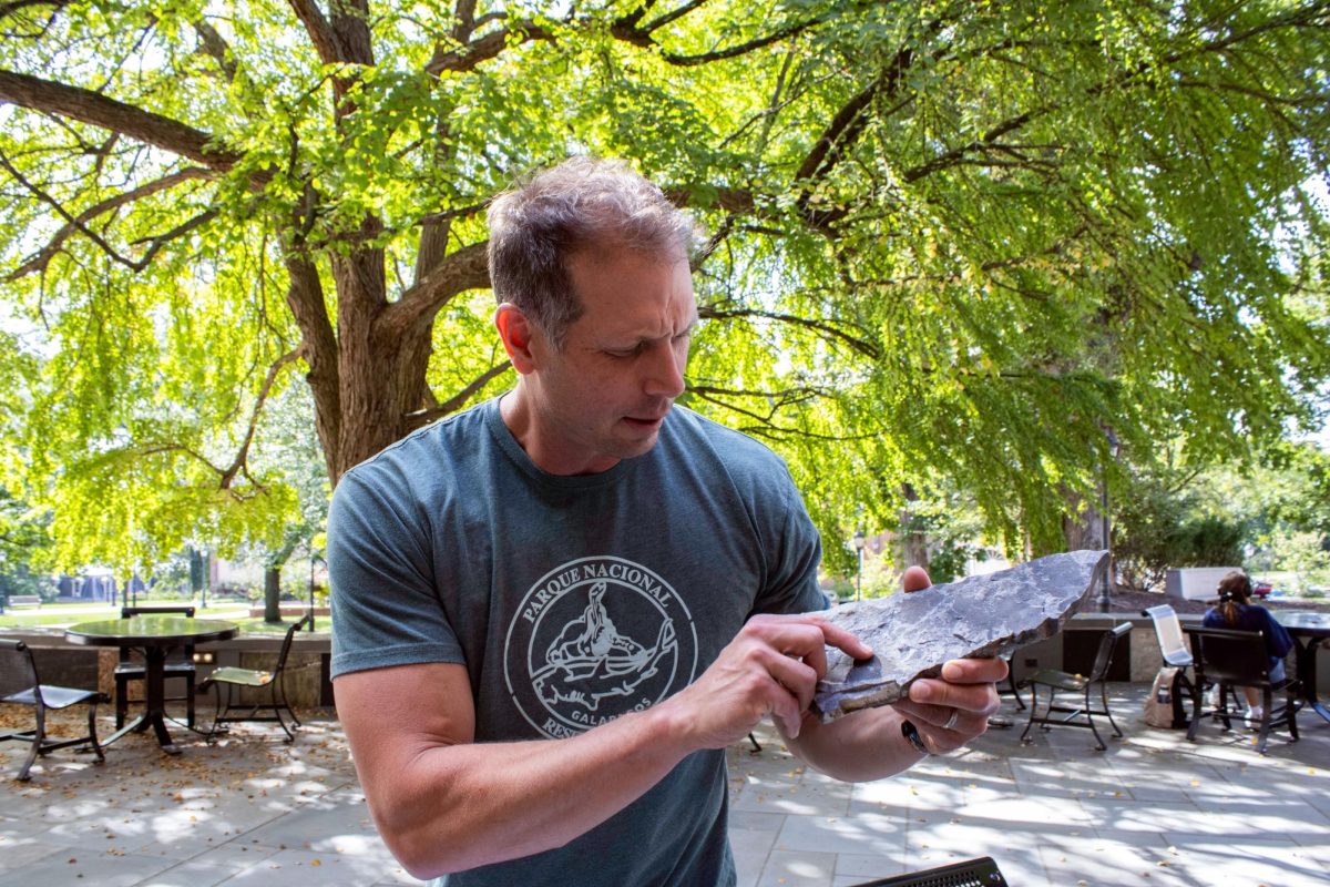 Geology professor Dave Sunderlin examines a fossilized leaf from his collection of specimens.