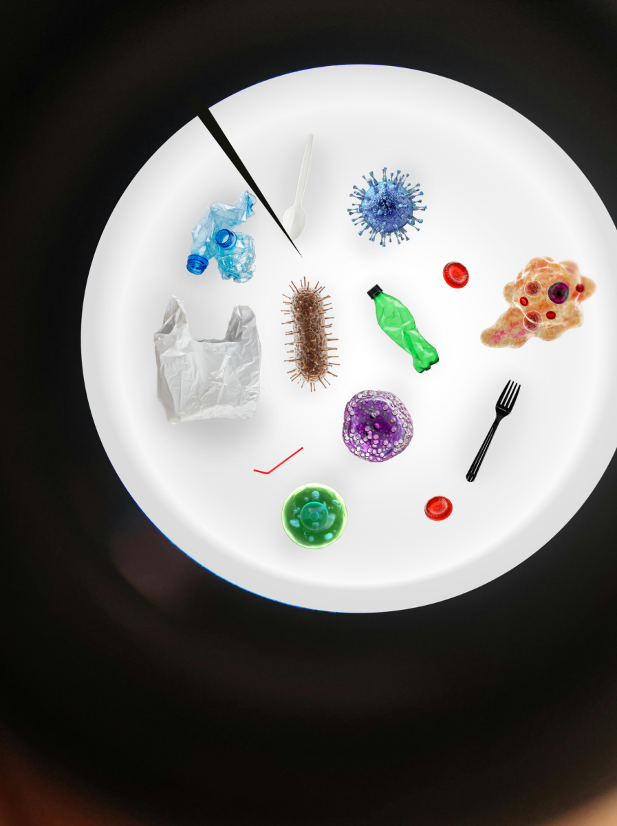 Microplastics have become a growing concern in the past decade. (Graphic by Elisabeth Seidel '26 for The Lafayette)
