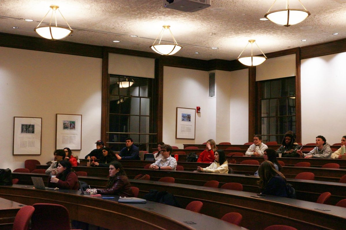 Student Government's recent constitutional overhaul is likely to upend the current committee structures.