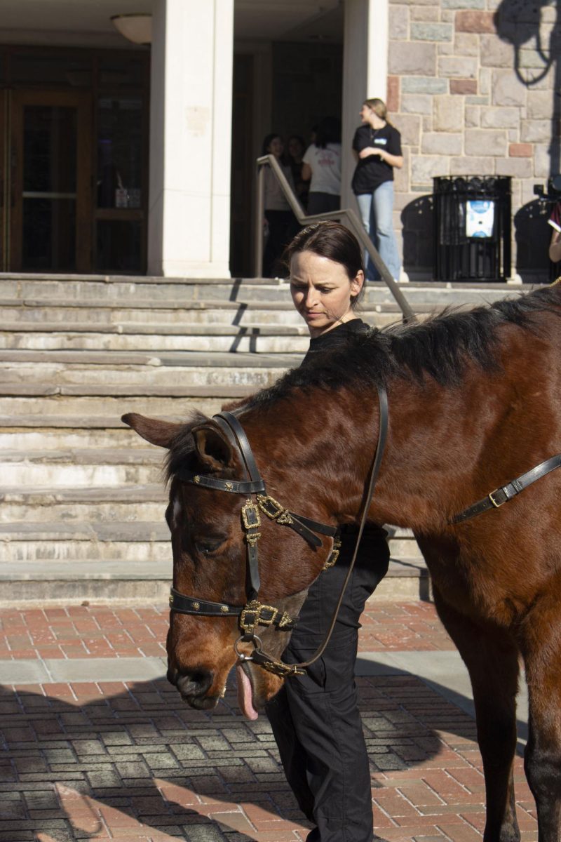 The handler of the Marquis' horse said the steed's name was Rocky, "but I think today I'm supposed to say 'Caesar.'"