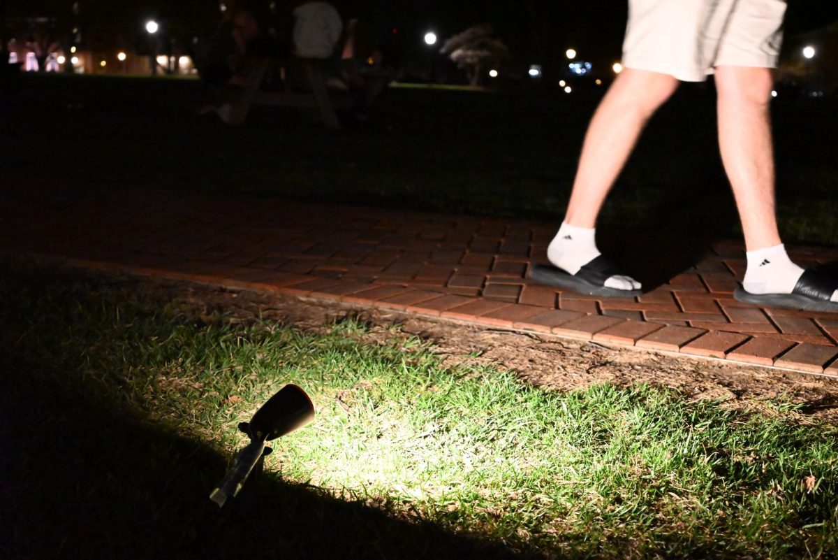 The new Quad lights were the only concrete project outlined in the campus lighting plan.