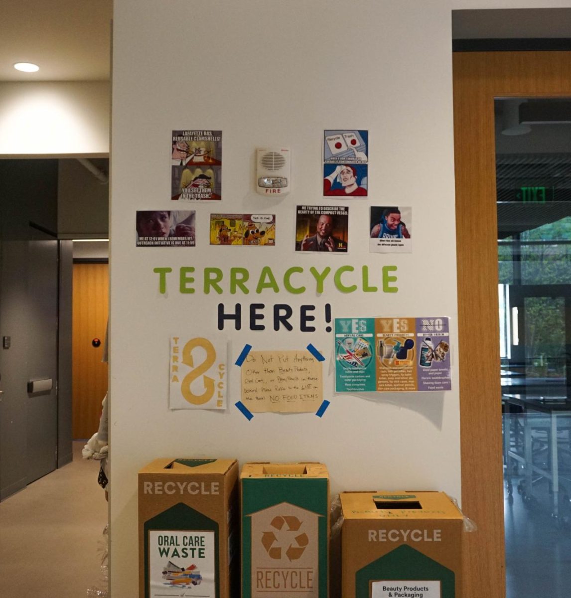 "Terracycling" stations offer a specific waste stream for traditionally non-recyclable items such as toothbrushes.